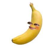 850296603