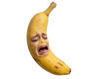 850296604