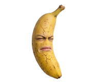 850296605