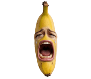850296606