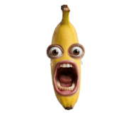 850296608