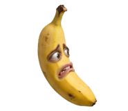 850296611