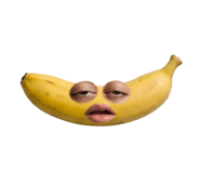 850296614