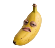 850296616