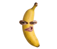 850296617