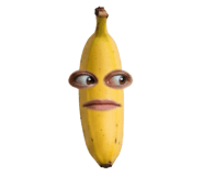 850296618