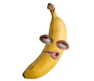 850296619