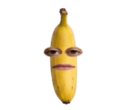 850296620