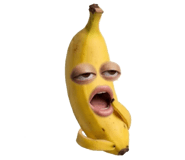 850296633