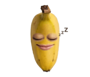 850296636