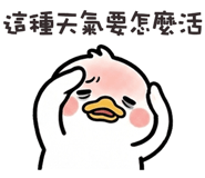 850296902