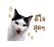 850299402