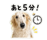850302554