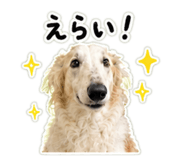 850302566