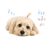 850305990