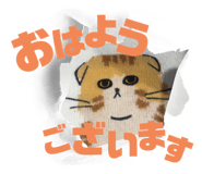 850308169