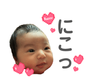 850308653
