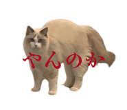 850309234