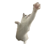 850309247