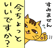 850311981