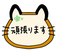 850312041