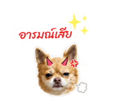 850312616