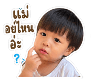 850313029