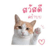 850313385