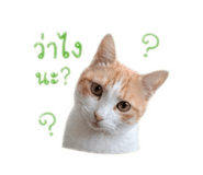 850313389