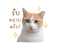 850313390