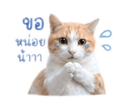 850313394