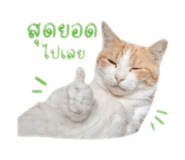 850313395