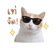 850313396