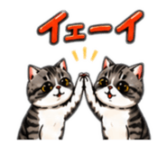 850316083