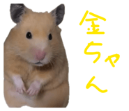 850317290