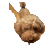 850317292