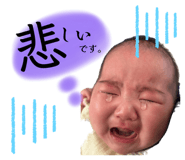 850317519
