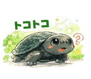 850319077
