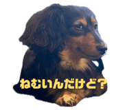 850319245
