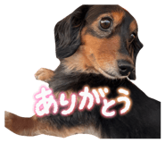 850319248