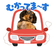 850319256