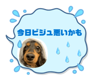850319260