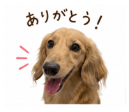 850320001