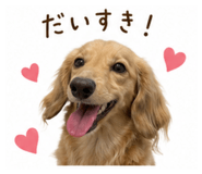 850320011