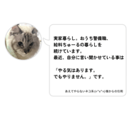 850320082