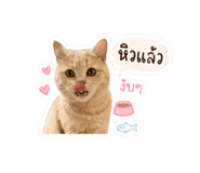 850321539