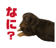 850323581