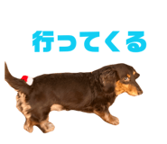 850323584