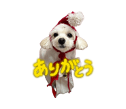 850324038