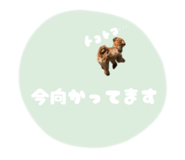 850324920